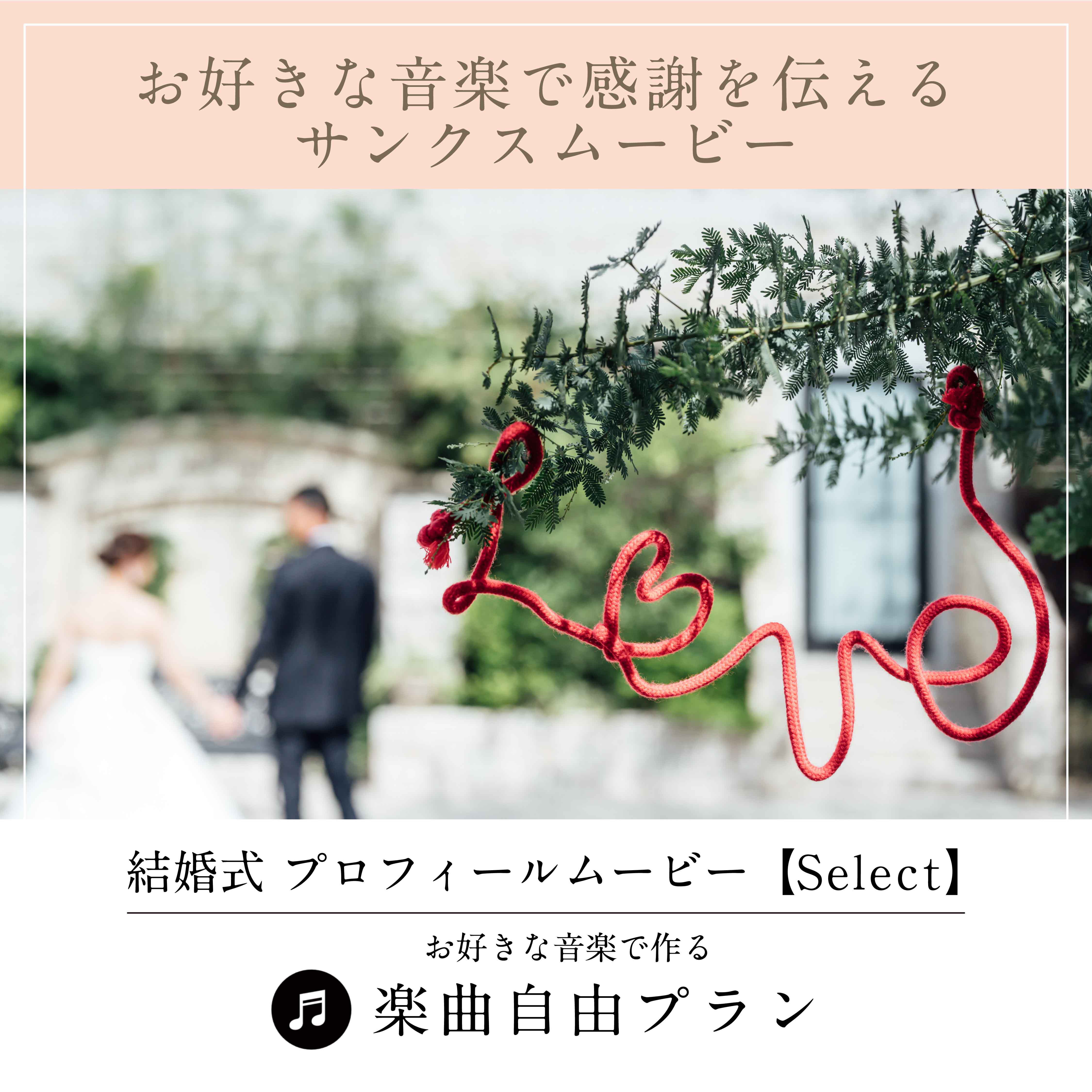 【好きな音楽で制作します】 プロフィールムービー【Select】　データ｜DVD｜Blu-ray納品可