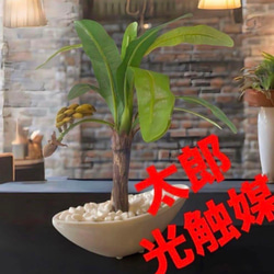 光触媒 人工観葉植物 ウォールグリーン フェイクグリーン ウッド