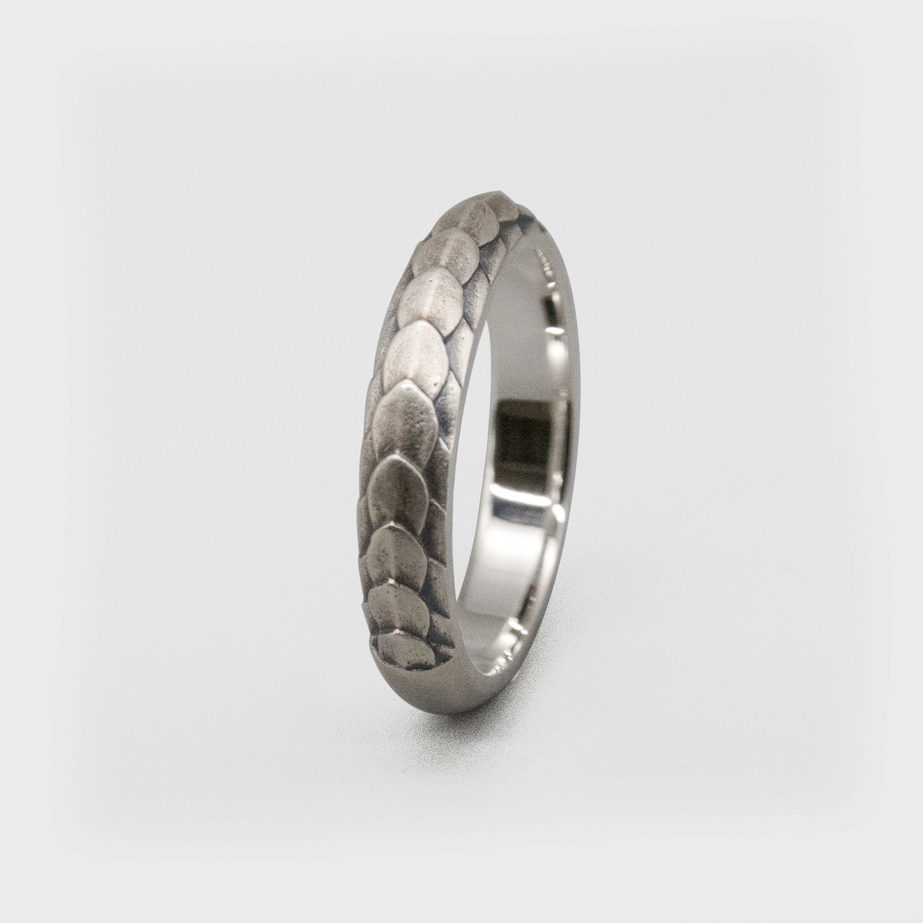 Dragon Scales S / DR-31