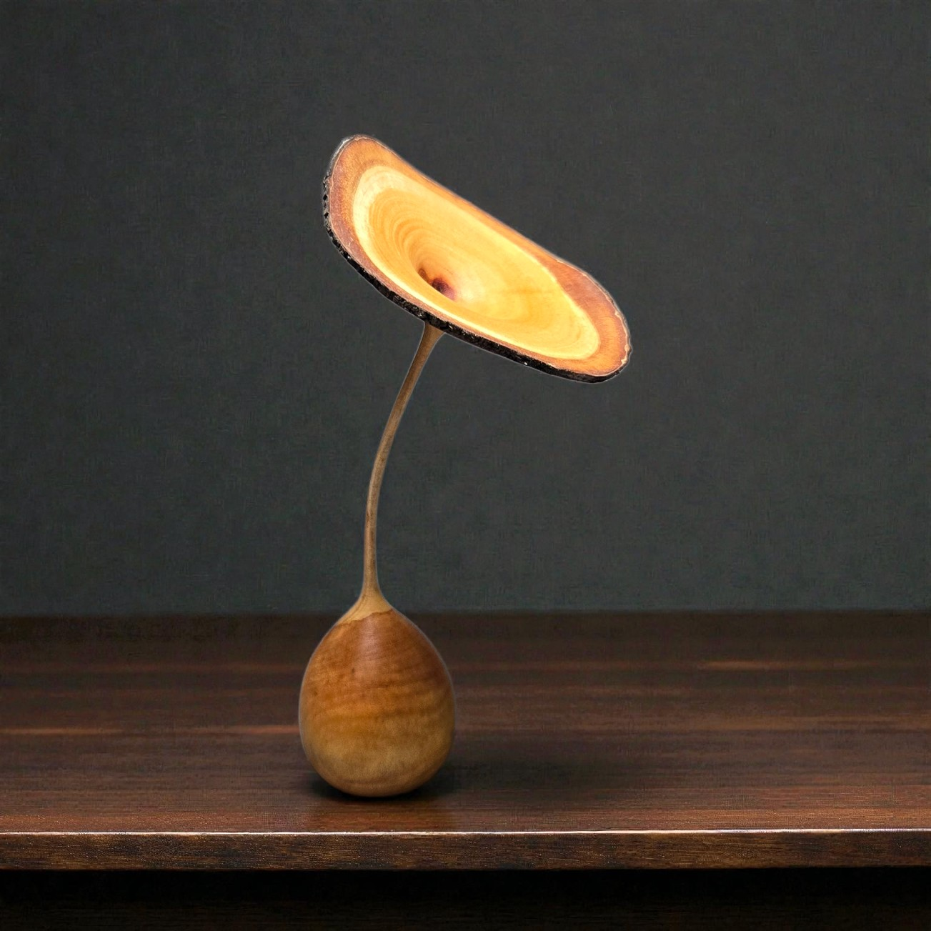 奇跡の１点「ハートの瞳」を持つオブジェ 〜自然の変形美〜