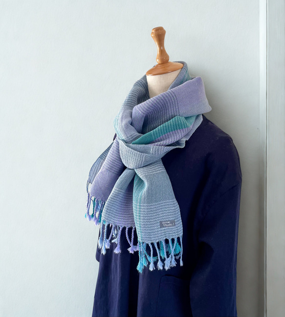  第2張的照片