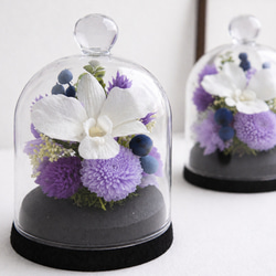 お供えガラスドーム プリザーブドフラワー 上品な胡蝶蘭の仏花 仏壇