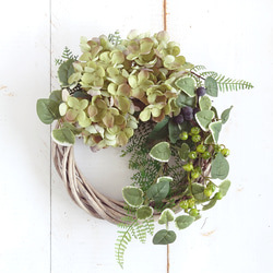 復刻】ミモザとユーカリの大人グリーンリース リース ERBA 通販