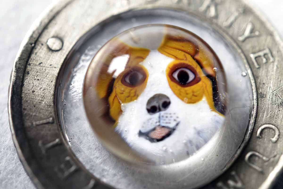 マネークリップ【ビンテージコインマネークリップ金属製 マネークリップ】13407-474本物コイン マネークリップ