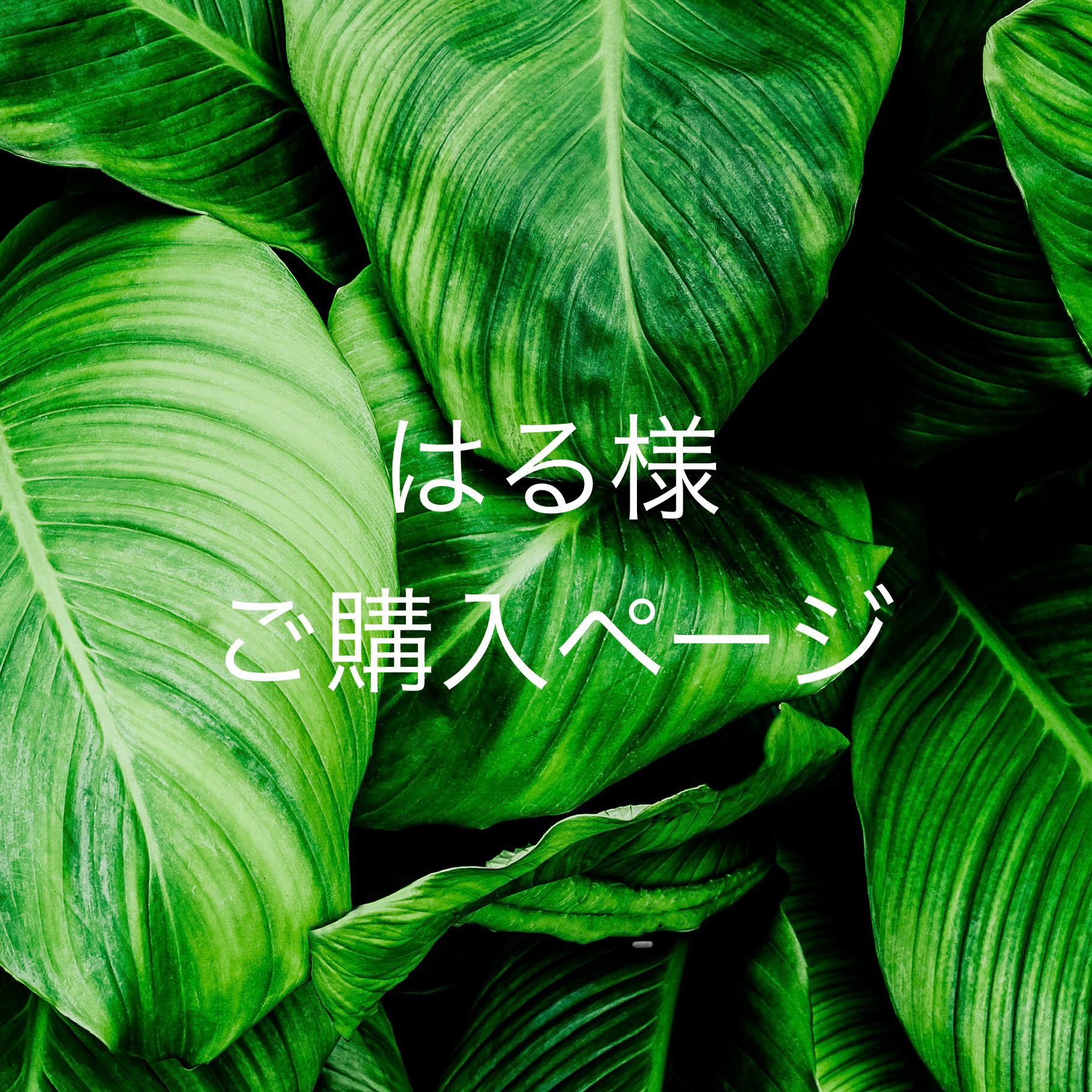 はる様ご購入ページ