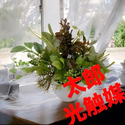 光触媒 人工観葉植物 ウォールグリーン フェイクグリーン ウッド