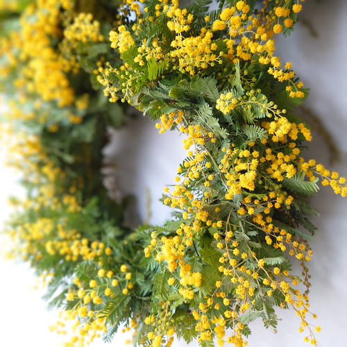 new!! ミモザアカシアのシンプルフレッシュリース【生花⇒ドライ】S/M