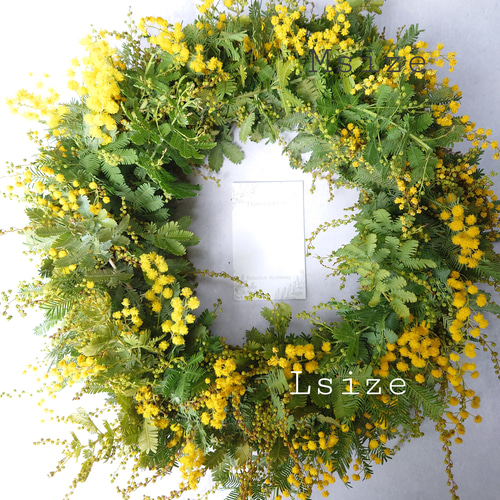 new!!感謝の花 ミモザアカシアのシンプルフレッシュリース【生花