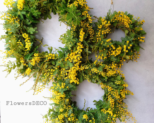 new!! ミモザアカシアのシンプルフレッシュリース【生花⇒ドライ】S/M