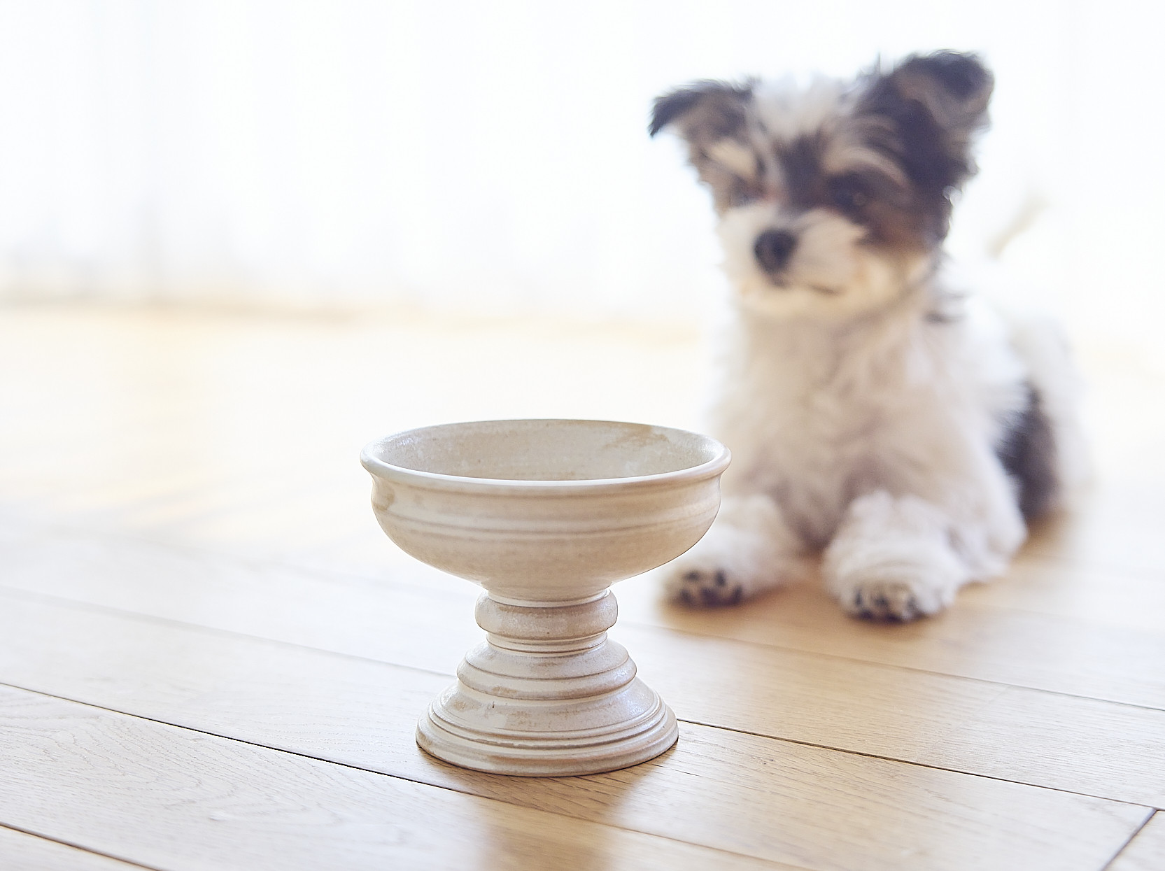 オブジェの様な フードボール 陶器　ペット　猫 小型犬　餌入れ　水入れ　fb-5