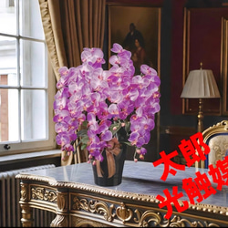 光触媒 人工観葉植物 ウォールグリーン フェイクグリーン フラワー