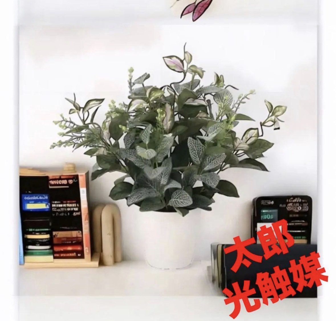 光触媒　人工観葉植物　ウォールグリーン　フェイクグリーン　ミックスフィットニア