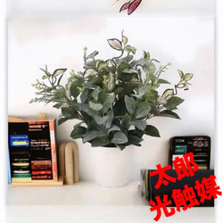 光触媒 人工観葉植物 ウォールグリーン フェイクグリーン ガジュマル