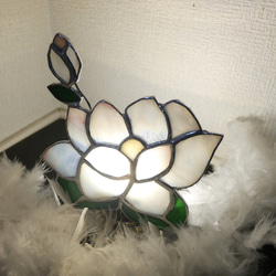 ✴︎:.｡.グリーン×ホワイトの八角形の鏡♪（Size20/Max21） ステンド