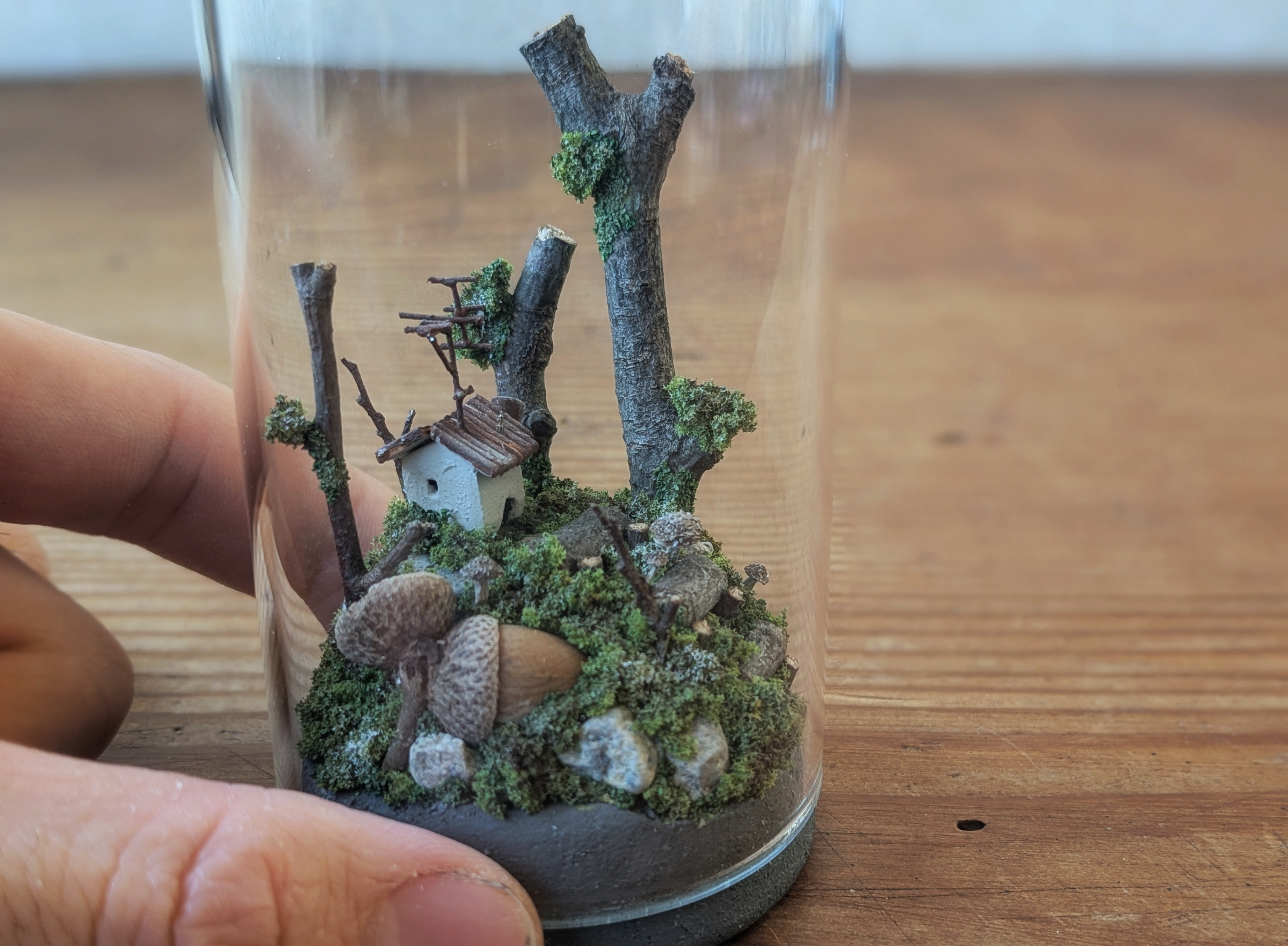 どんぐり帽子の家と小さな森