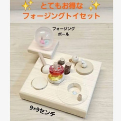 文鳥 アスレチック のおすすめ人気通販 検索結果｜Creema(クリーマ