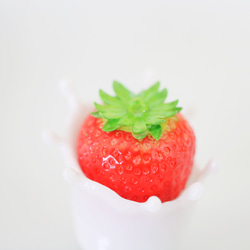  第11張的照片