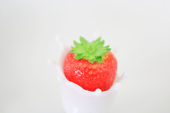  第11張的照片