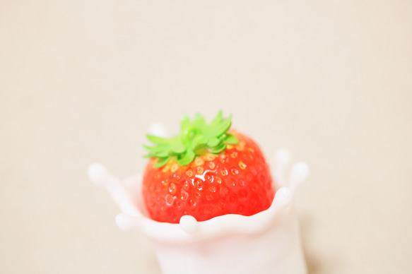  第5張的照片