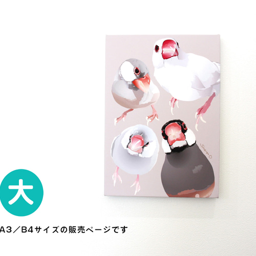 可愛い文鳥パネル生地　ハンドメイド パネル作品【大】「文鳥会議」（B4・A3サイズ） 写真・グラフィック