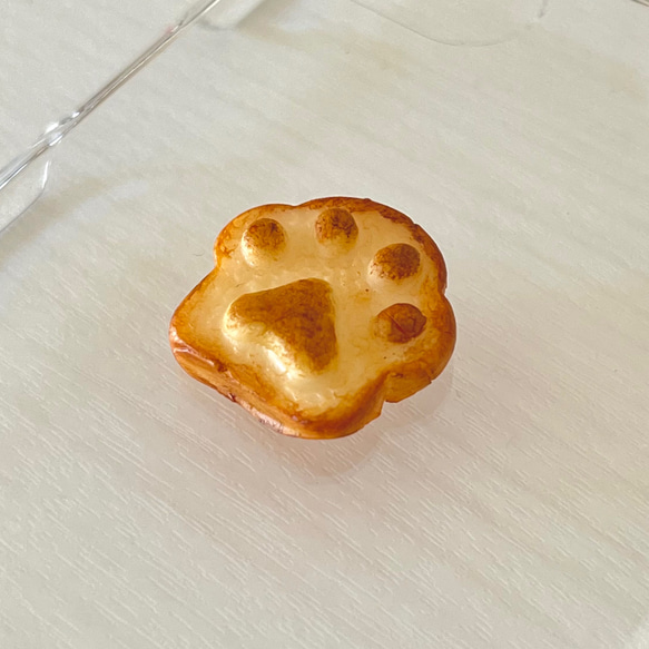  第5張的照片