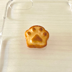  第3張的照片