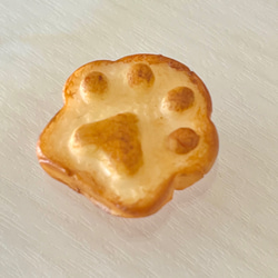  第7張的照片