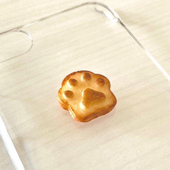  第6張的照片