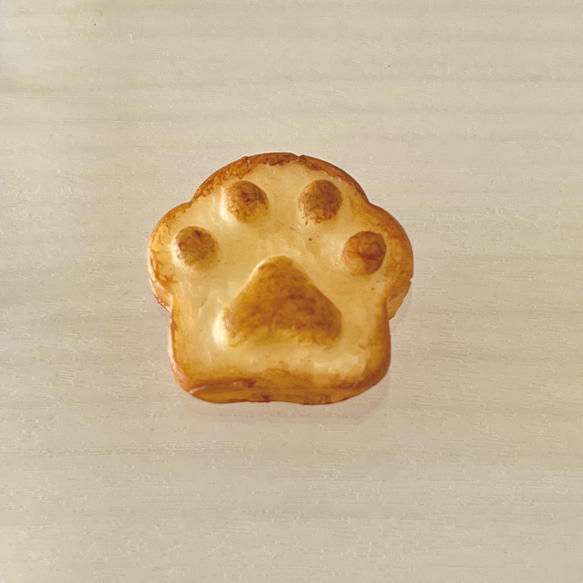  第9張的照片