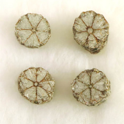 岐阜県神岡鉱山産 ドゥルージー水晶 5.1g #18370 天然石 榎本通商 通販