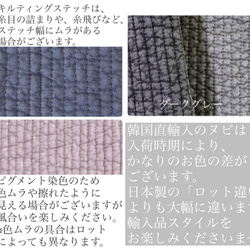 ライヴリーダイナソー　選べる　レッスンバッグ　H30W40D4入園入学　恐竜　刺繍　イブル　絵本バッグ ヌビ 9枚目の画像