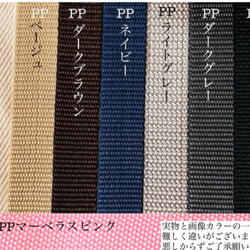 ライヴリーダイナソー　選べる　レッスンバッグ　H30W40D4入園入学　恐竜　刺繍　イブル　絵本バッグ ヌビ 12枚目の画像