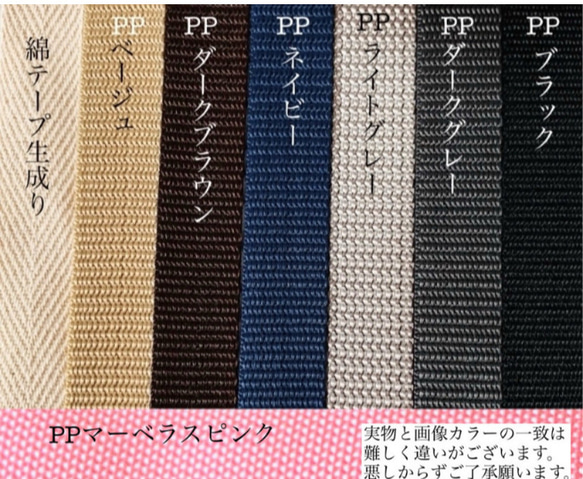 ライヴリーダイナソー　選べる　レッスンバッグ　H30W40D4入園入学　恐竜　刺繍　イブル　絵本バッグ ヌビ 12枚目の画像