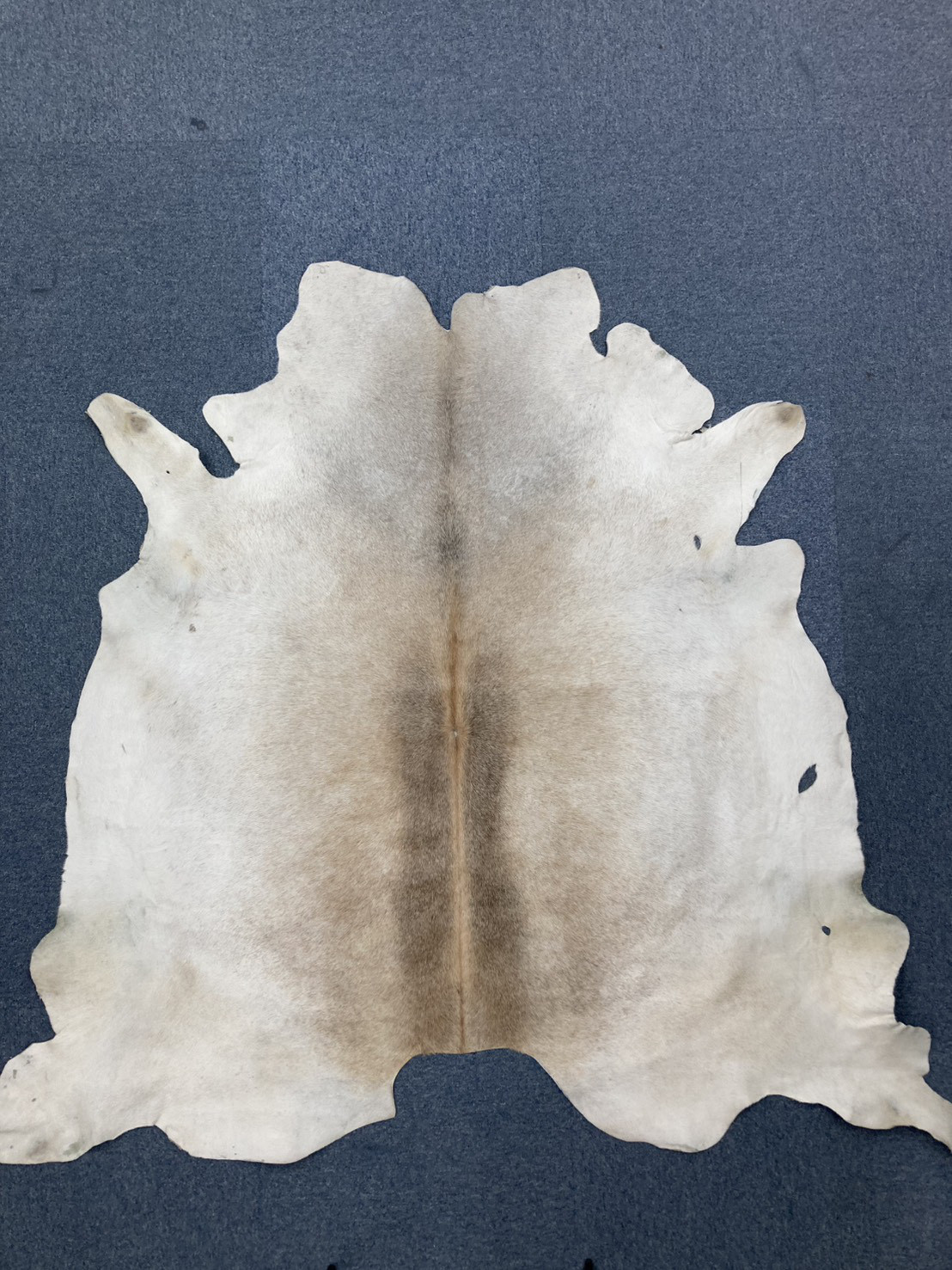 毛付きキップ#1　ナチュラル