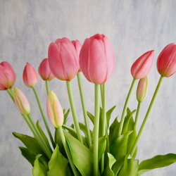 【リアルな触り心地】まるで生花のような瑞々しさ|春のチューリップ5本ブーケ|アーティフィシャルフラワー【シェルピンク】 6枚目の画像