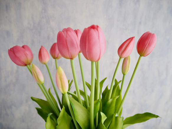 【リアルな触り心地】まるで生花のような瑞々しさ|春のチューリップ5本ブーケ|アーティフィシャルフラワー【シェルピンク】 6枚目の画像