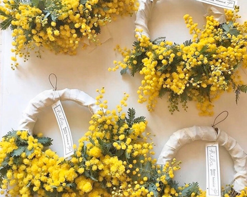 ミモザのハーフリース 【受注制作】 ホワイトリボン付き ドライ