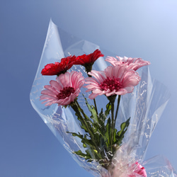 アネモネ♡紫♡ピンク♡アレンジ♡アメリカンフラワー♡ディップアート