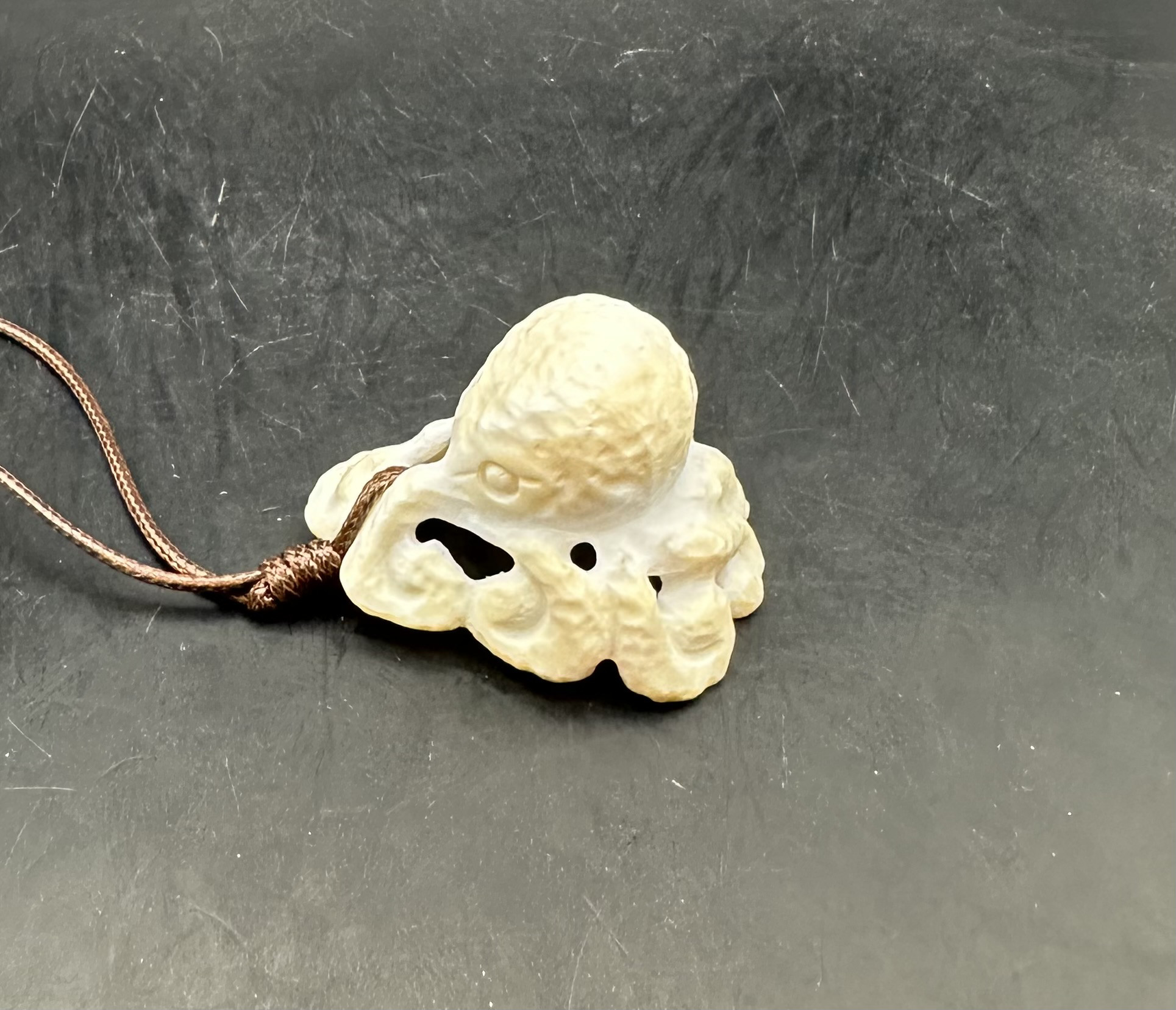 2026.2.18no.2楽舞八爪魚　カリビアンコンク貝