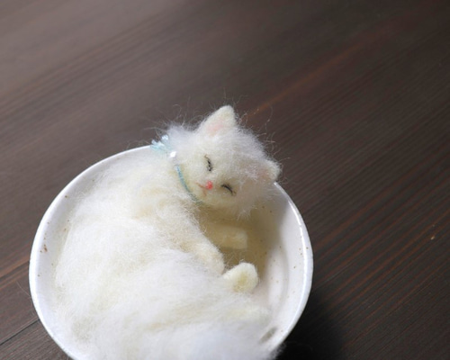 めだかの喜ぶ猫さま(=^・^=) 5 （めだかの喜ぶ猫さま④ 浮かし）
