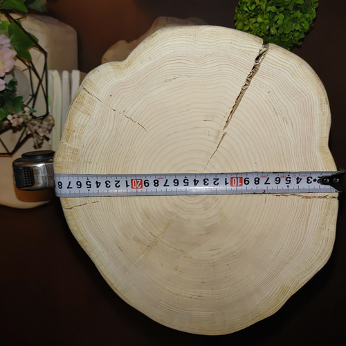 ①大型 切り株 ひのき くりぬき 親子 本立て 椅子 スツール テーブル