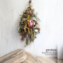 size42✕37＊ハスの実 セピアカラーの大きなドライフラワーリース