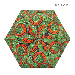  第4張的照片