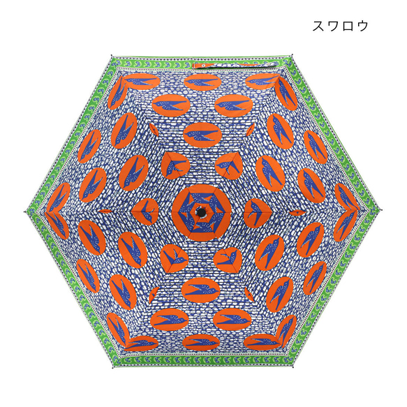  第6張的照片