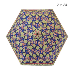  第8張的照片