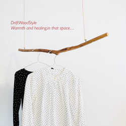 流木インテリア 端がY字の無骨な天然流木のハンガーフック 流木