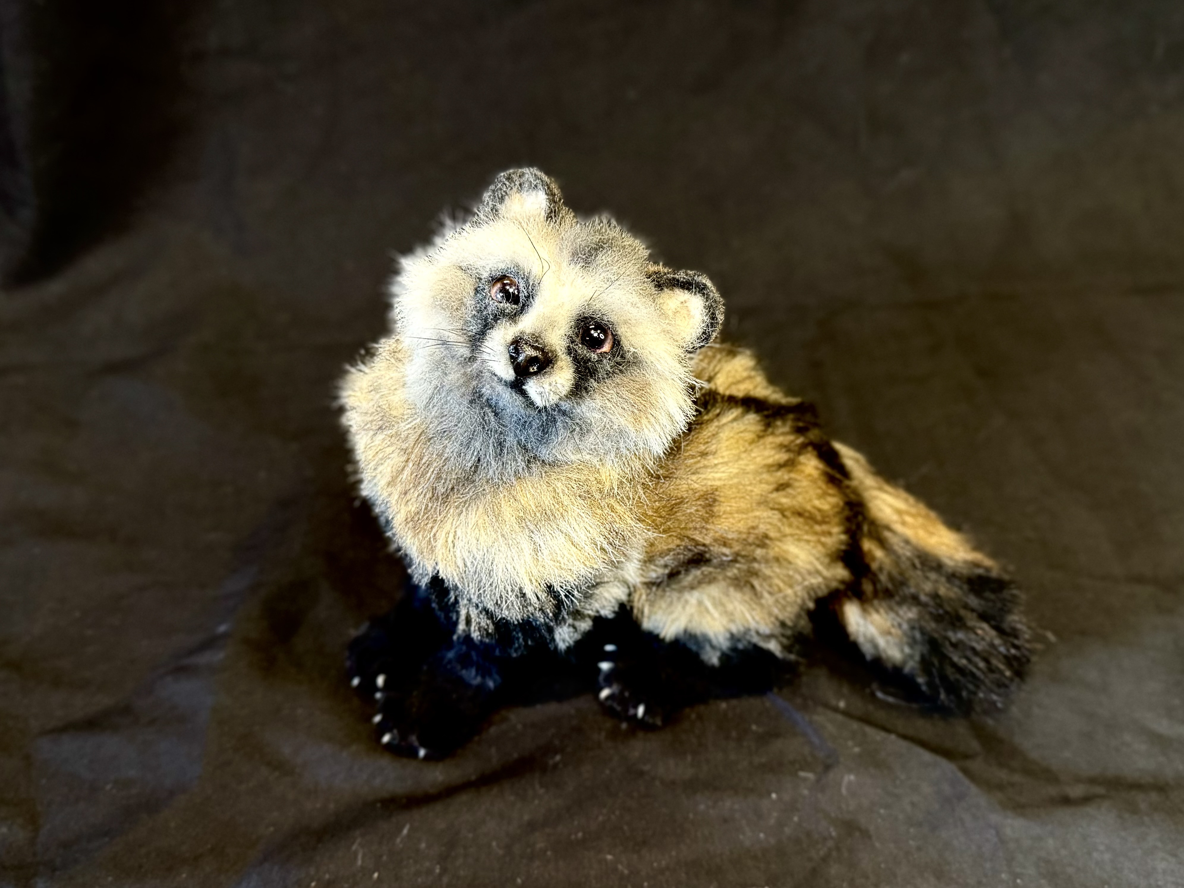 【全身可動】ちびたぬき