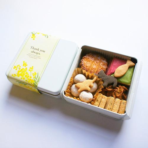 焼き菓子詰め合わせ《ミモザ2026》 スイーツ・お菓子・パン motoi 通販