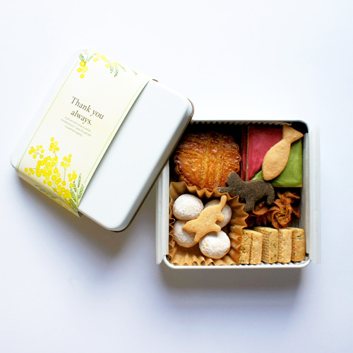 焼き菓子詰め合わせ《ミモザ2026》 スイーツ・お菓子・パン motoi 通販