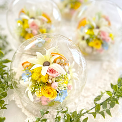 新年を祝う赤ダリアと祝い水引金のかすみ草のお正月しめ縄飾り＊無料